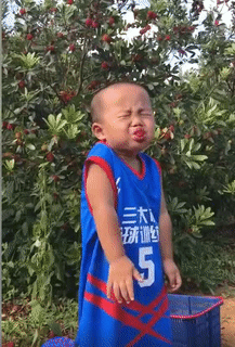 Trời ơi quả gì vậy?