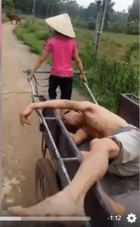 Anh cứ say đã có em đây.