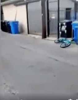 Cú đấm thế kỷ.