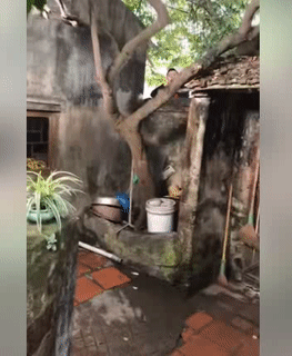 Dám rủ con tui đi chơi.