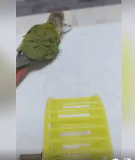 Vào đây chơi vui lắm.