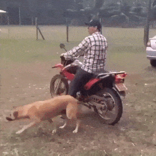 Đưa em đi trốn. Đưa em đi trốn.