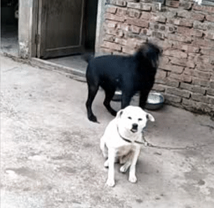 Im lặng là vàng. Im lặng là vàng.