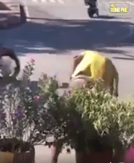 Tự nhiên thấy yêu đời. Tự nhiên thấy yêu đời.