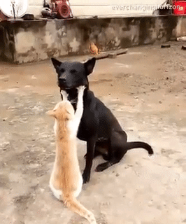 Cái cằm đáng yêu quá. Cái cằm đáng yêu quá.