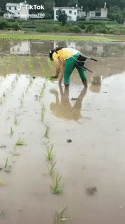 Tự thương lấy minh thôi. Tự thương lấy minh thôi.