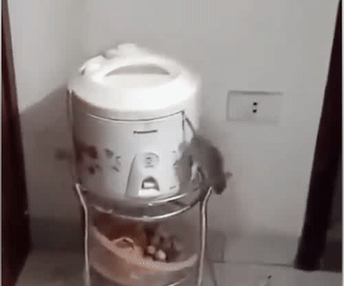 Có một cảm giác bất lực không hề nhẹ