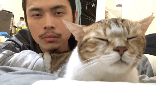 Mèo siêu ngầu “phê” nhạc ảnh 1 Mèo siêu ngầu “phê” nhạc ảnh 1