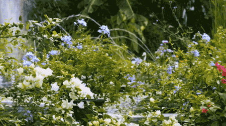 Khu vườn 5000m² đẹp không thể rời mắt, được người đàn ông cải tạo từ bãi đất hoang suốt 17 năm ảnh 27