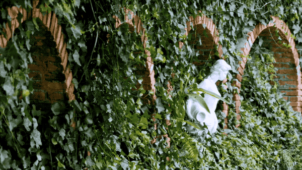 Khu vườn 5000m² đẹp không thể rời mắt, được người đàn ông cải tạo từ bãi đất hoang suốt 17 năm ảnh 35