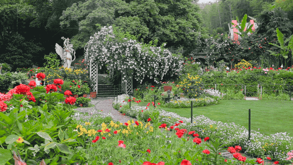 Khu vườn 5000m² đẹp không thể rời mắt, được người đàn ông cải tạo từ bãi đất hoang suốt 17 năm ảnh 32