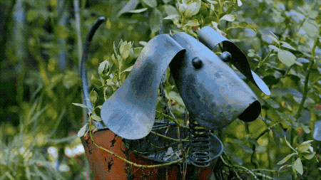 Khu vườn 5000m² đẹp không thể rời mắt, được người đàn ông cải tạo từ bãi đất hoang suốt 17 năm ảnh 34