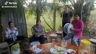 Ban nhạc đồng quê Ban nhạc đồng quê