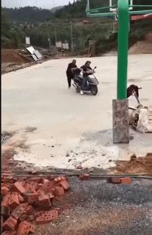 Con trâu này khó bảo quá Con trâu này khó bảo quá