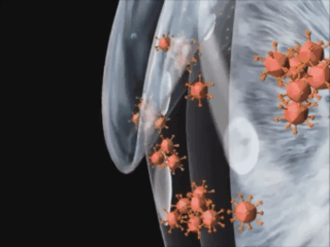 Đau mắt đỏ: Căn bệnh khiến bất kỳ ai cũng lo sợ khi mùa hè đến ảnh 3 Đau mắt đỏ: Căn bệnh khiến bất kỳ ai cũng lo sợ khi mùa hè đến ảnh 3