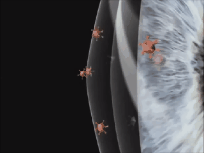 Đau mắt đỏ: Căn bệnh khiến bất kỳ ai cũng lo sợ khi mùa hè đến ảnh 4 Đau mắt đỏ: Căn bệnh khiến bất kỳ ai cũng lo sợ khi mùa hè đến ảnh 4