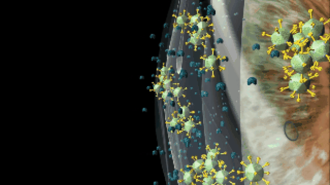 Đau mắt đỏ: Căn bệnh khiến bất kỳ ai cũng lo sợ khi mùa hè đến ảnh 2 Đau mắt đỏ: Căn bệnh khiến bất kỳ ai cũng lo sợ khi mùa hè đến ảnh 2