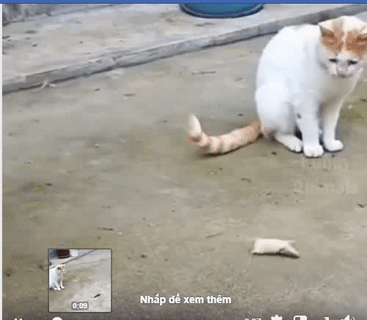Tuyệt chiêu đấy. Tuyệt chiêu đấy.