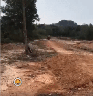Đặt niềm tin nhầm chỗ. Đặt niềm tin nhầm chỗ.