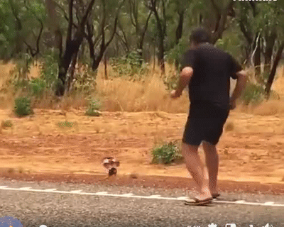 Dọa tôi đấy à.