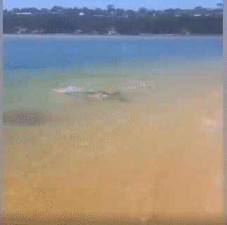 Dám cướp miếng ăn của người khác à.