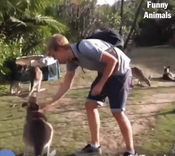 Anh định làm gì tôi.