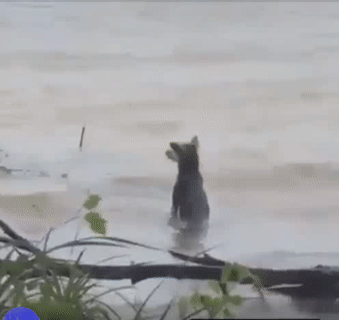 Khi tôi thất tình. Khi tôi thất tình.