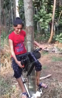 Ai bảo leo cây là khổ. Ai bảo leo cây là khổ.