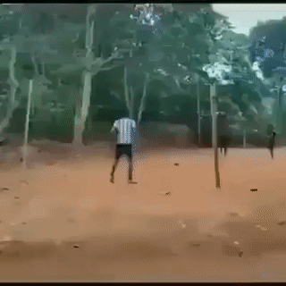 Hết hồn. Hết hồn.