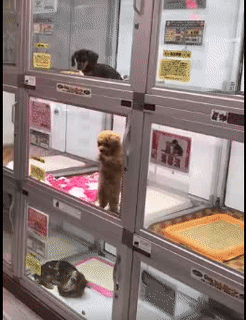 Mình phải lạc quan trong mọi hoàn cảnh.