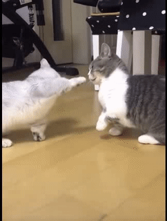 Đừng để tôi bực mình.