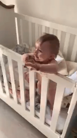 Bốc xít ăn vã Bốc xít ăn vã