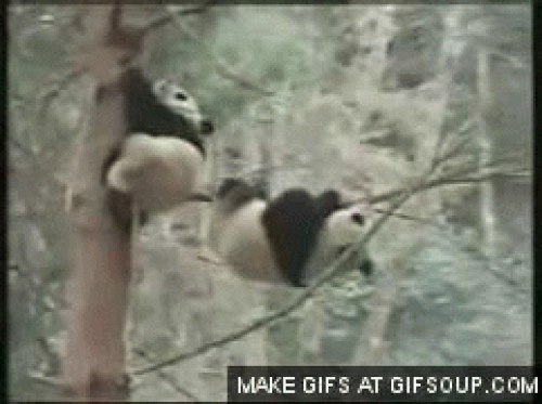 Trèo cao ngã đau. Trèo cao ngã đau.