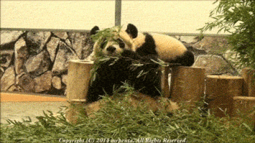 Cả thế giới đổ sập cũng không thể ngừng ăn. Cả thế giới đổ sập cũng không thể ngừng ăn.