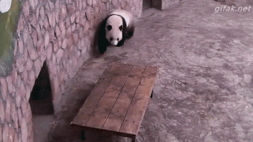 Điệp vụ bất khả thi. Điệp vụ bất khả thi.