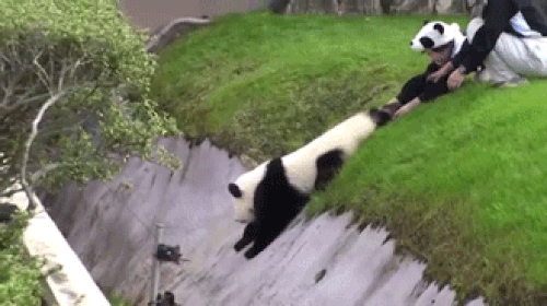 Buông tay nhau ra. Buông tay nhau ra.