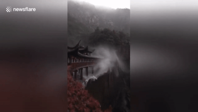 ezgif.com-video-to-gif (10).gif