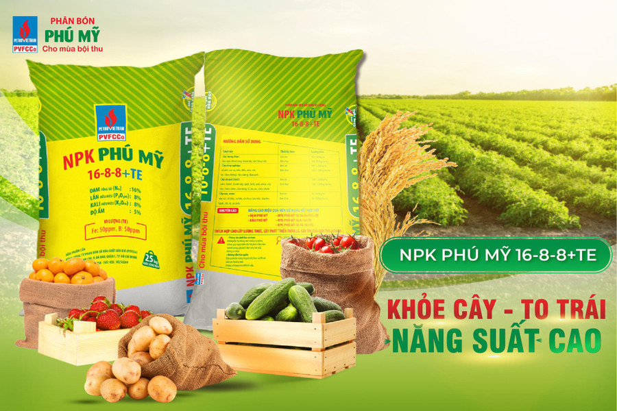 NPK Phú Mỹ có nhiều dòng công thức và được bà con nông dân đón nhận, đánh giá cao NPK Phú Mỹ năm 2021: Tăng trưởng vượt bậc - ảnh 3