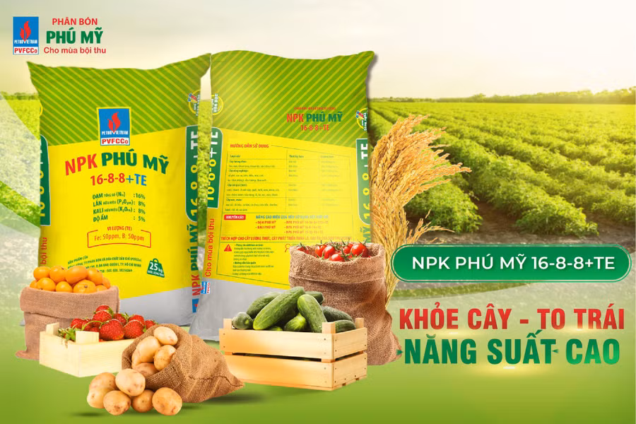 NPK Phú Mỹ năm 2021: Tăng trưởng vượt bậc - ảnh 3
