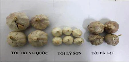 Cách nhận biết rau củ Trung Quốc, rau củ Việt Nam