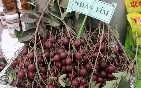 Lão nông Sóc Trăng tạo nên những quả nhãn... tím kì lạ