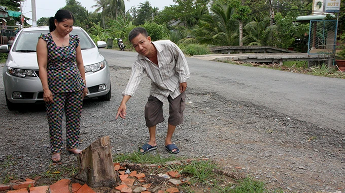 Đánh nhau náo loạn, ra tòa vì cái gốc cây