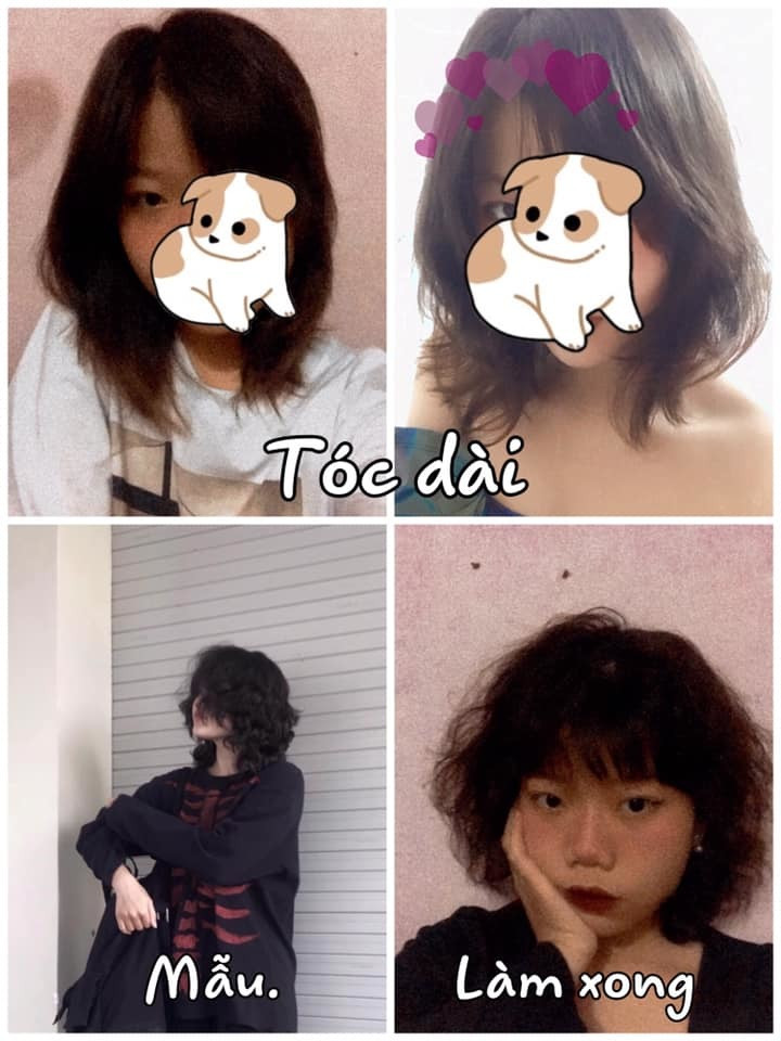 Lên đời kiểu tóc đẹp đón Tết, "khóc hết nước mắt” khi nhìn thành quả cuối cùng ảnh 7 Lên đời kiểu tóc đẹp đón Tết, "khóc hết nước mắt” khi nhìn thành quả cuối cùng ảnh 7