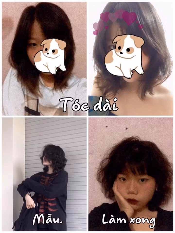 Lên đời kiểu tóc đẹp đón Tết, "khóc hết nước mắt” khi nhìn thành quả cuối cùng ảnh 7