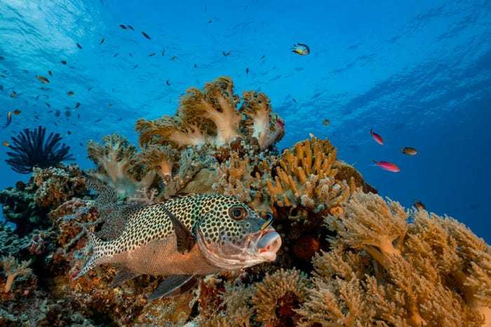 đảo đẹp nhất thế giới