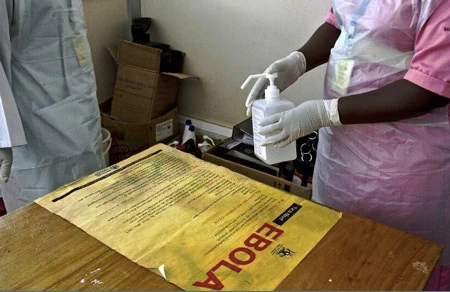 Năm 2015 sẽ có vắc xin phòng bệnh Ebola