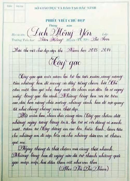 “Tài nữ” múa bút, nét chữ trong sáng như của học sinh
