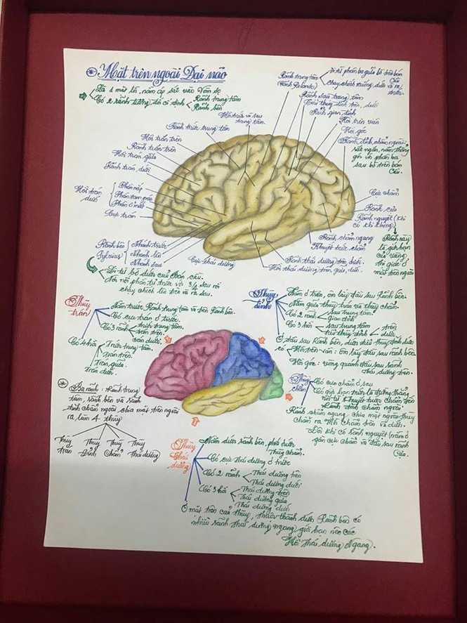 "Thật bất ngờ khi biết sinh viên y khoa lại tài năng đến vậy!" là nhận xét chung của nhiều cư dân mạng khi xem những bức vẽ của Tấn Tài. "Thật bất ngờ khi biết sinh viên y khoa lại tài năng đến vậy!" là nhận xét chung của nhiều cư dân mạng khi xem những bức vẽ của Tấn Tài.