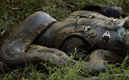 Trải nghiệm rùng rợn của người tự nguyện để trăn nuốt sống ảnh 1