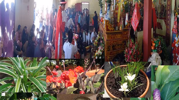 Bùa ngải là những hương, dược liệu có khả năng trị bệnh. Nhưng để tăng sự kỳ bí, các thầy bùa thường làm lễ cúng rất lớn nhằm tăng uy lực siêu phàm của mình